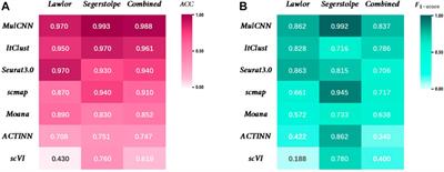 MulCNN: An efficient and accurate deep learning method based on gene embedding for cell type identification in single-cell RNA-seq data